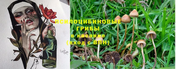 крисы Балабаново
