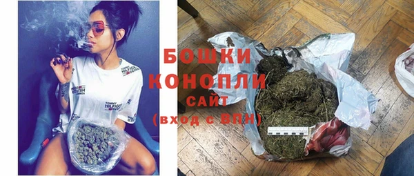 гидра Белоозёрский
