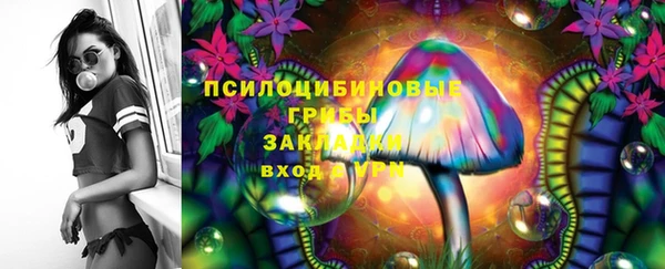 гидра Белоозёрский