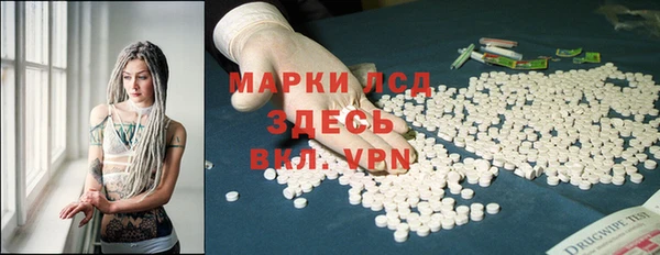 трава Белокуриха